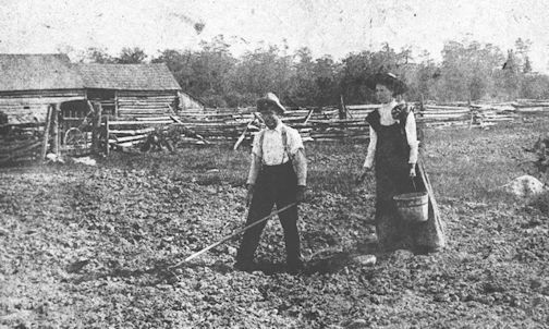 Bruce County Memories: Local hospitality – potatoes to the rescue