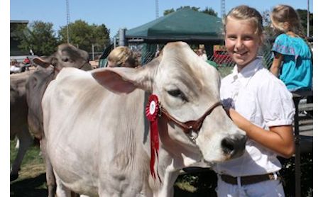 Kincardine Fall Fair set for Labour Day weekend