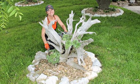 Ernie and Ena Parker have created magnificent gardens at their farm on the Southline