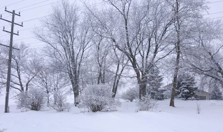Week of wild, windy, weird weather