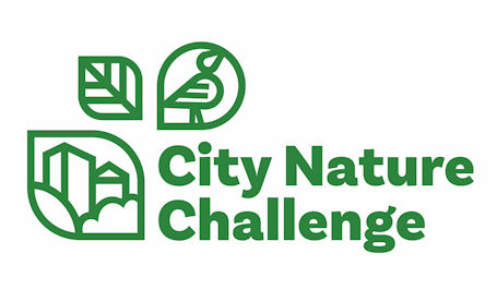 ​Explore Kincardine and be a citizen scientist for Earth Week
