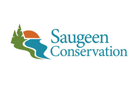 SVCA issues flood outlook statement for Saugeen watershed