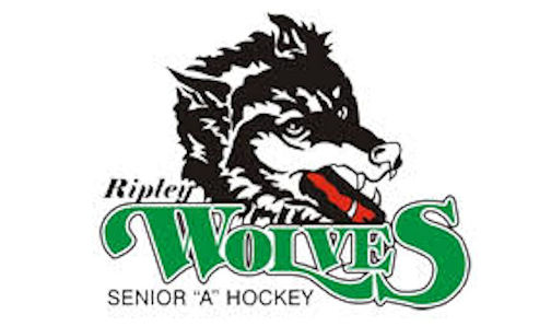 ​Ripley Wolves to open semi-finals against Durham this weekend