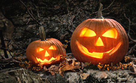 ​Walk Jack-o-Lantern Trail at Bruce Botanical Food Gardens in Ripley, Nov. 1