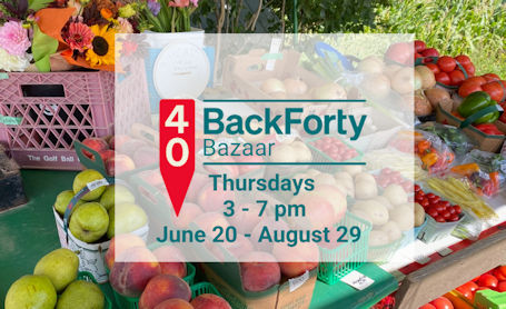 ​Vendor opportunities at Back Forty Bazaar in Huron-Kinloss