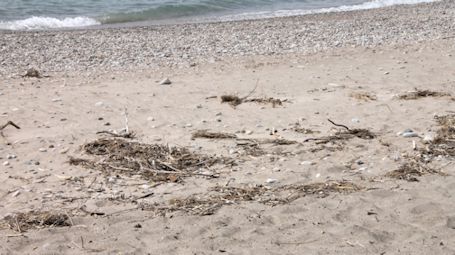 Readers wade in with concerns about poor beaches in Kincardine