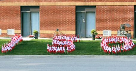 Trillium Court, businesses, residences sport red-and-white for Canada Day