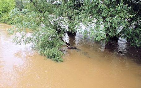 SVCA, MVCA issue flood warnings in watershed areas