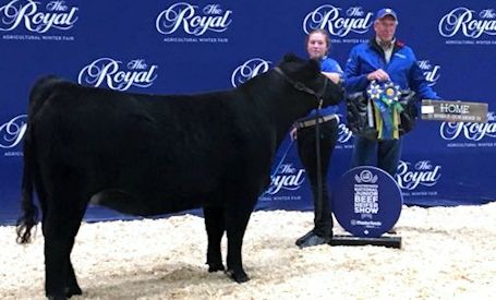 Weber girls of Kincardine bring home awards from Royal Winter Fair