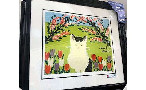 ​“Black and White Cat” is next print in Kincardine Hospital Auxiliary fund-raiser