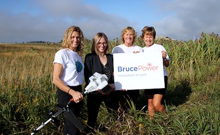 Kincardine Residents Against Phragmites keep fighting invasive plant