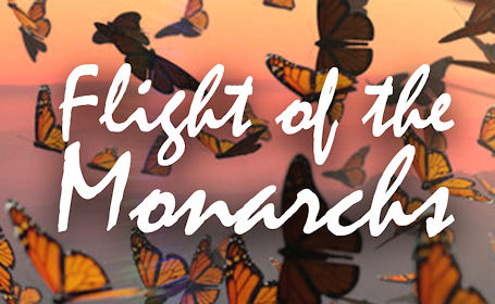 ​Monarchs, Dinos and more coming to Bruce County Museum, July 16-17
