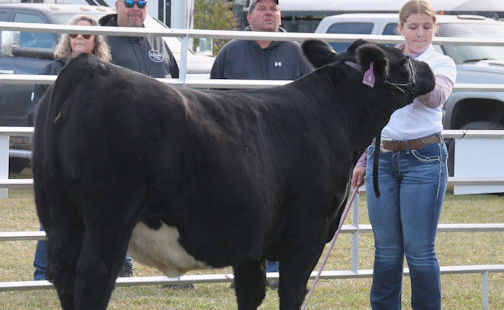 Ripley-Huron Fall Fair results