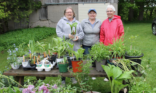 ​Bervie W.I., UCW host plant, yard sale despite rainy weather