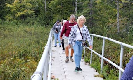 Get Real: The accidental tourist of the Greenock Swamp