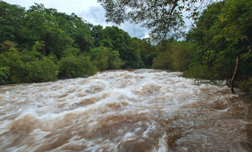 Spring freshet under way across Saugeen watershed