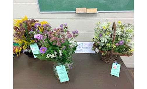 ​Kincardine Horticultural Society holds fall flower show