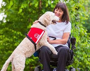 Kincardine Lions host Walk for Dog Guides June 5