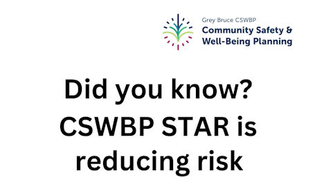 ​Community Safety and Well-Being Planning situation table reducing risk in Grey-Bruce