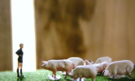 Feminist farm story brought to life on Blyth stage