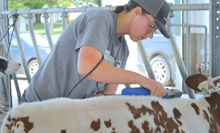 ​New Bruce County 4-H Showing and Fitting Club wraps up for the year