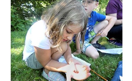Ripley Horticultural Society's youth club learns about bugs, berries
