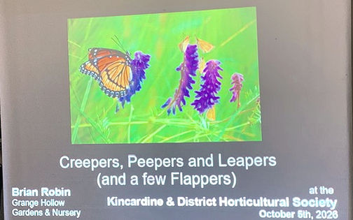 Kincardine Horticultural Society learns about creatures living in our gardens