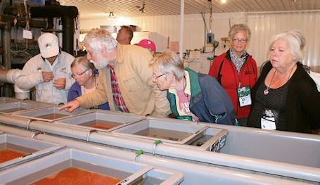 Lack of volunteers could mean end of trout hatchery, salmon derby