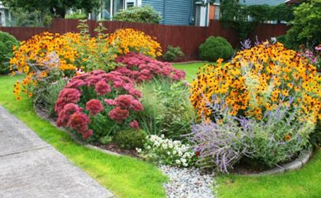 Public invited to Rain Garden workshop in Ripley, Monday  morning