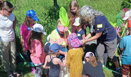 Ripley junior horticulturalists learn about frogs and symbiosis