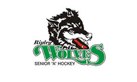 Ripley ​Wolves drop Erin Outlaws, 8-4