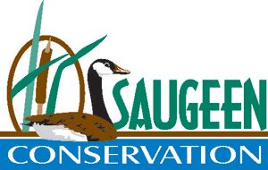 Martyn family donates 100 acres to Saugeen Conservation