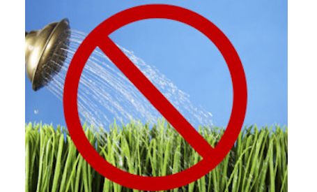 Kincardine may have to impose lawn-watering ban