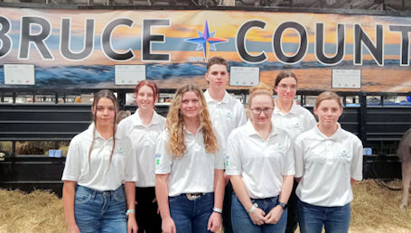 ​Bruce County team participates in national 4-H Dairy Show at Royal Winter Fair