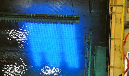 University of Guelph, Bruce Power, Nordion team up for research project using Cobalt-60