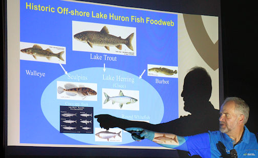 ​Huron Bruce Nature learns about changing ecology of Lake Huron fish communities